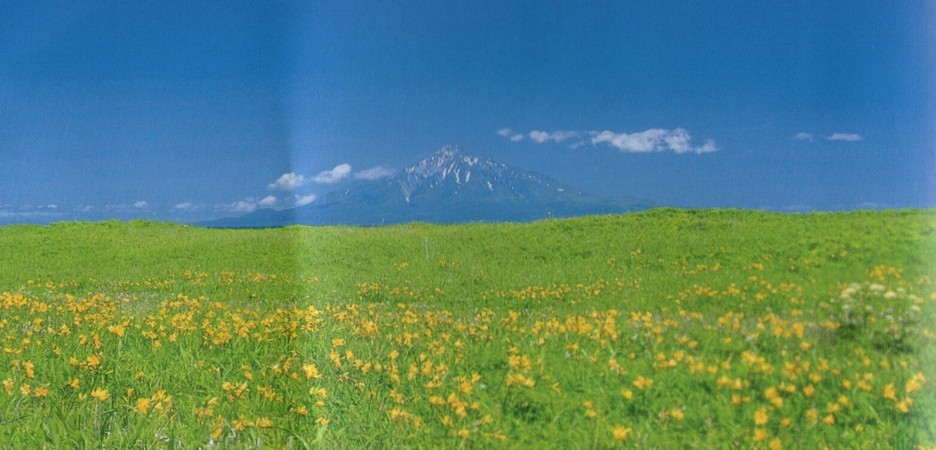 c0144185_173440.jpg