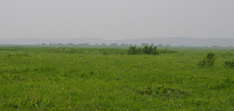 c0144185_2125213.jpg