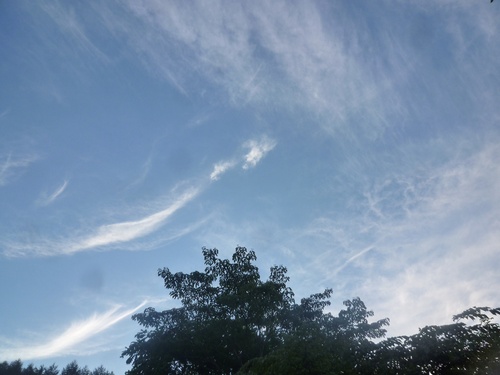 c0123890_21102182.jpg