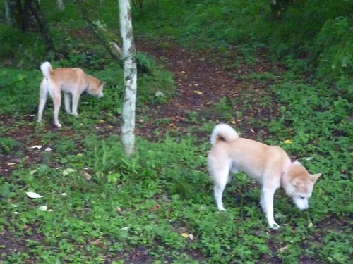 c0123890_2182590.jpg