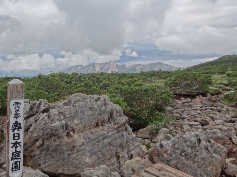 f0125091_1891058.jpg