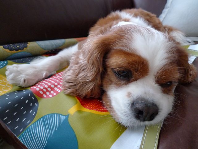 a0079292_13451144.jpg