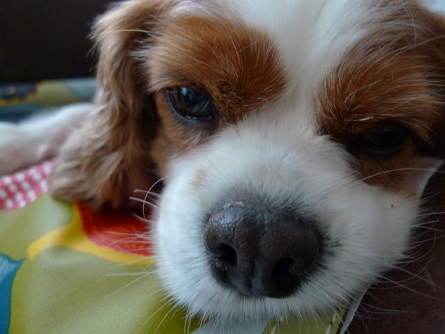 a0079292_13501720.jpg