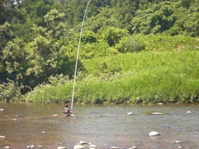 c0003493_1032675.jpg