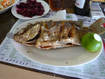 f0229700_528358.jpg