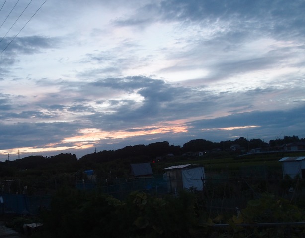 e0018604_11563858.jpg