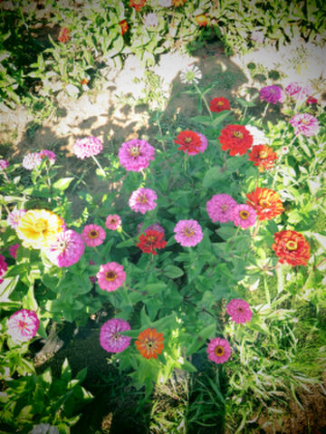 d0160611_1228317.png