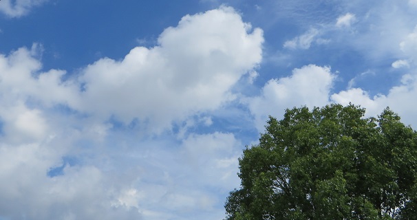 c0280322_17192317.jpg