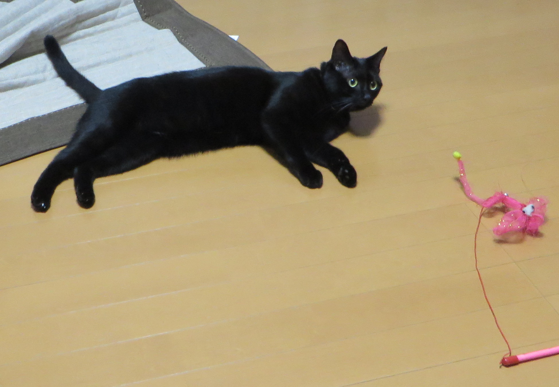 c0280322_17204047.jpg