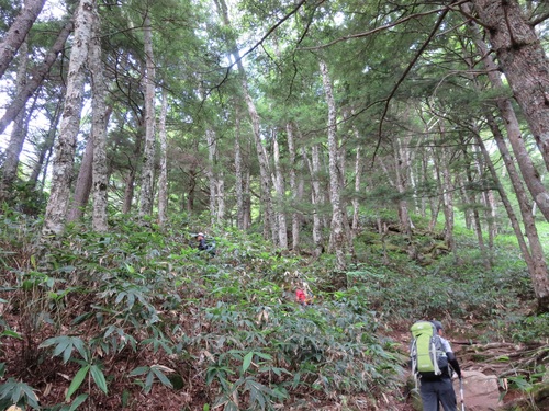 f0149422_1428332.jpg