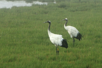 e0133025_21391646.jpg