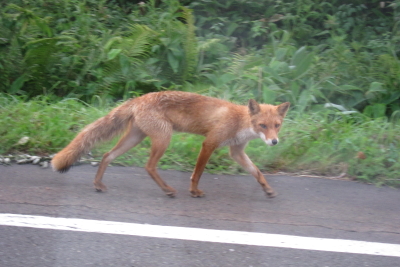 e0133025_21393379.jpg