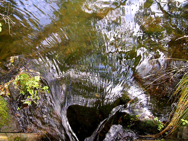 d0123528_15043243.gif