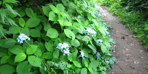 e0230329_13113129.jpg