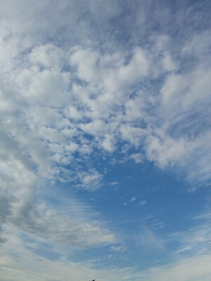 b0321336_184317.jpg