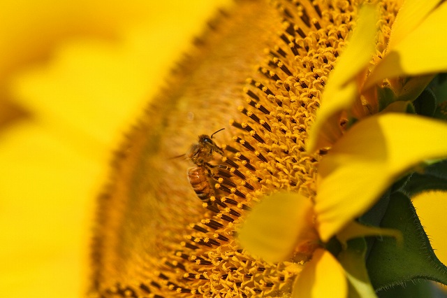 a0242438_19544368.jpg