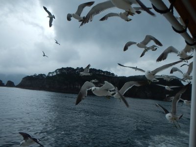 d0142944_0102531.jpg