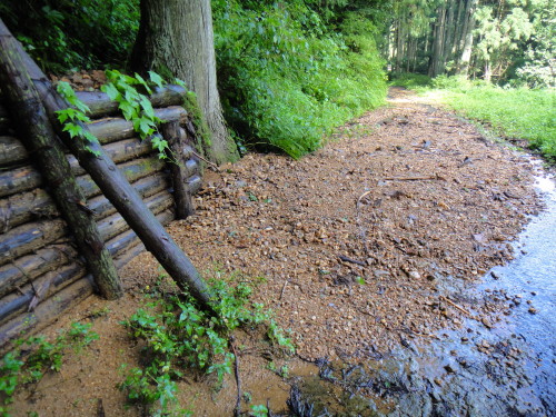 c0179351_2138234.jpg