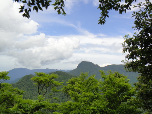 c0179351_21442473.jpg