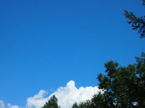 b0268454_16271923.jpg
