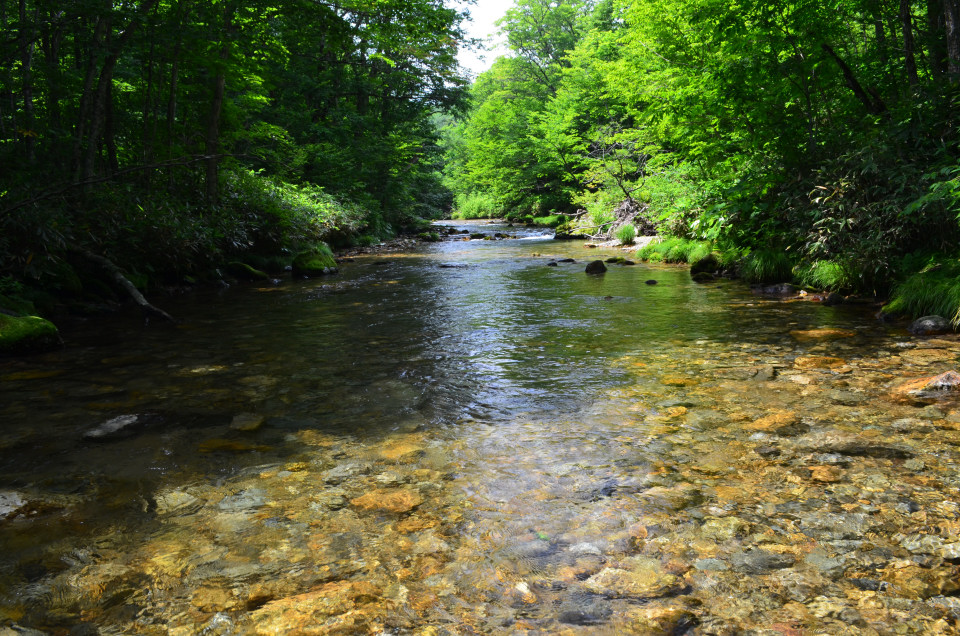 d0283357_08797.jpg