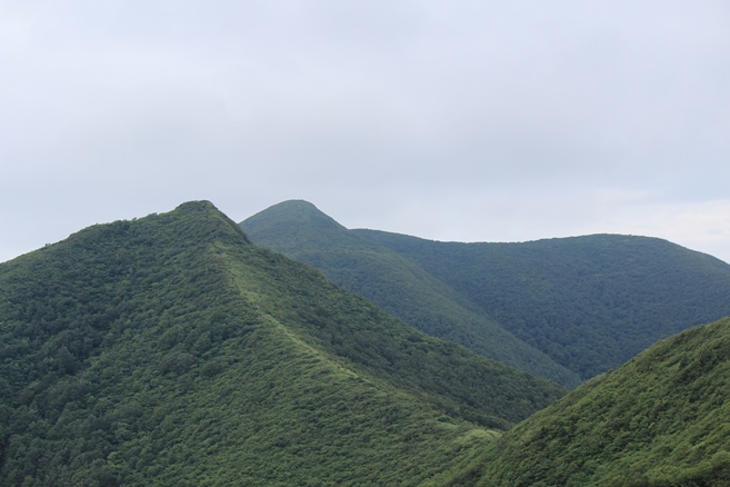 e0239458_22000839.jpg