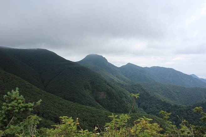e0239458_22034602.jpg