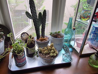 c0241763_23271330.jpg
