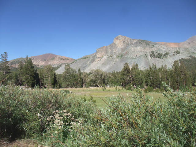 c0115366_815517.jpg