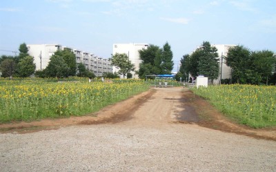c0112172_15444555.jpg