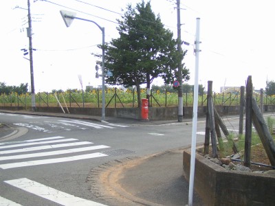 c0112172_15453845.jpg