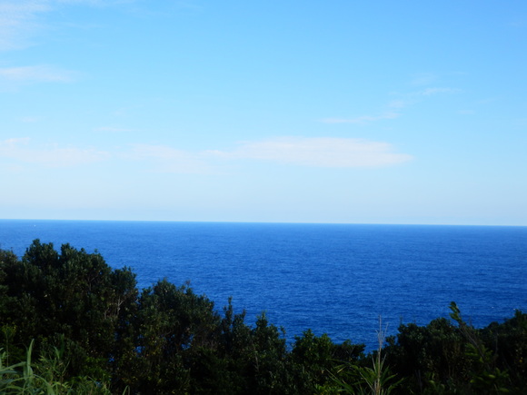 e0292172_20592990.jpg