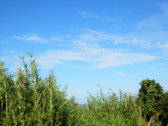 e0292172_210187.jpg