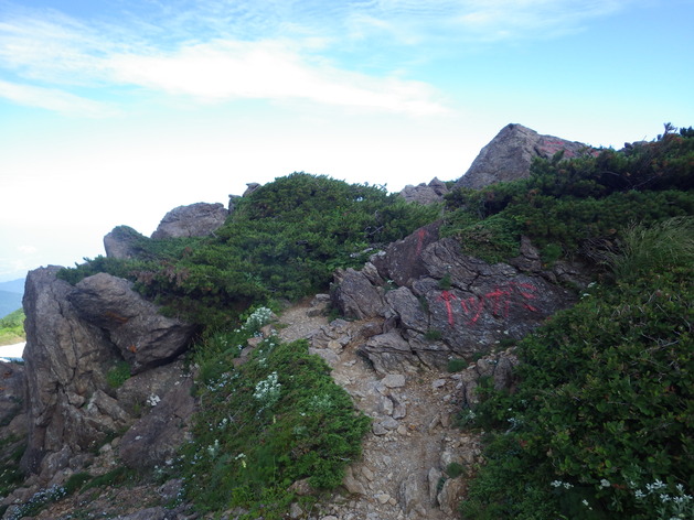 a0094280_1812277.jpg