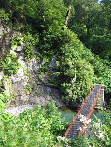a0094280_1881533.jpg