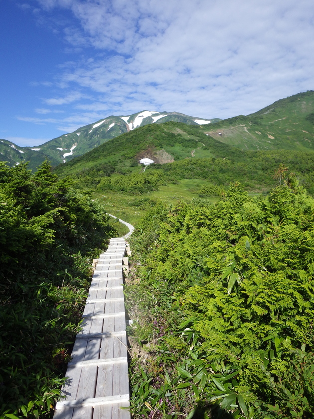 a0094280_1882947.jpg