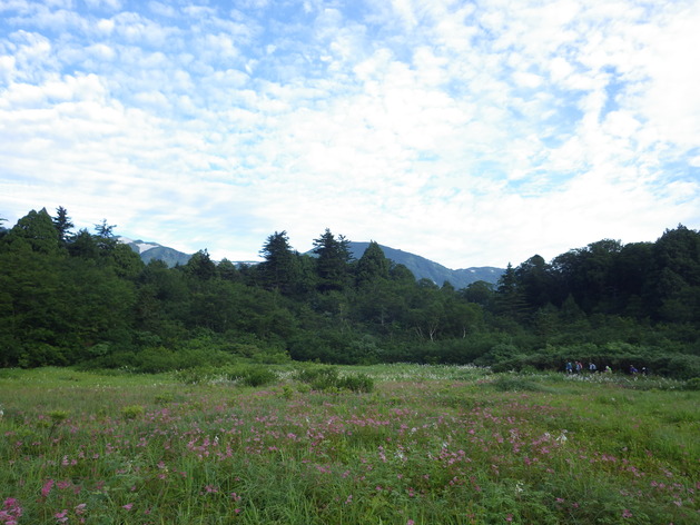 a0094280_188699.jpg