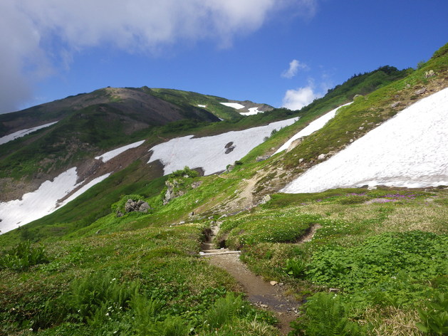 a0094280_1892556.jpg