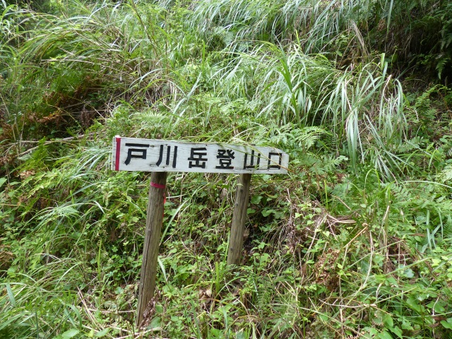 f0357487_23481970.jpg