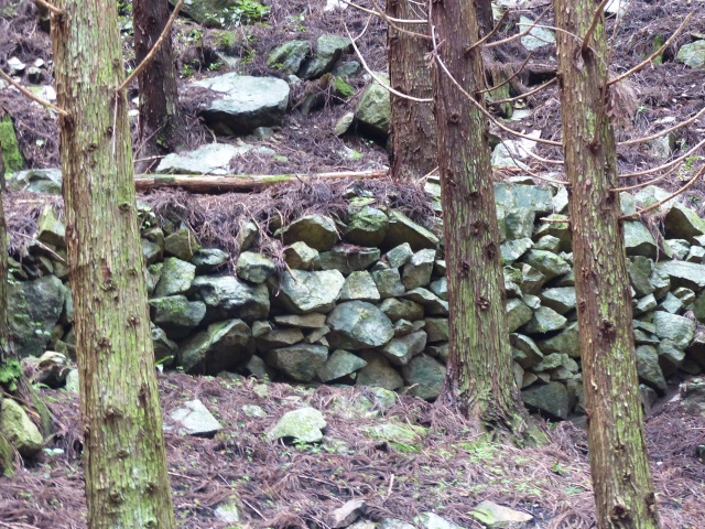 f0357487_2358312.jpg