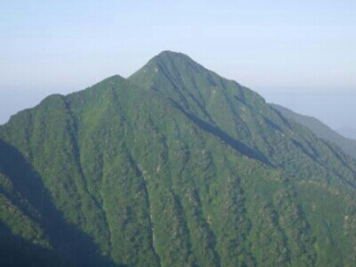 f0297492_1159792.jpg