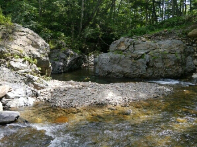 f0297492_1215066.jpg