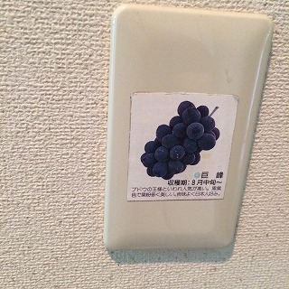 e0209900_16191183.jpg
