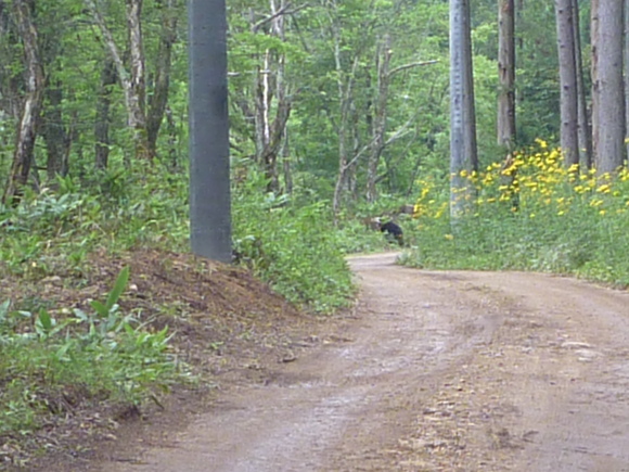 b0229003_1836437.jpg