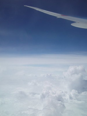a0185007_21433531.jpg