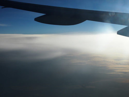 a0185007_21555367.jpg