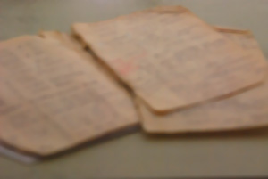 f0000211_20444571.jpg