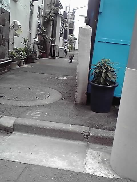 a0112812_23593390.jpg