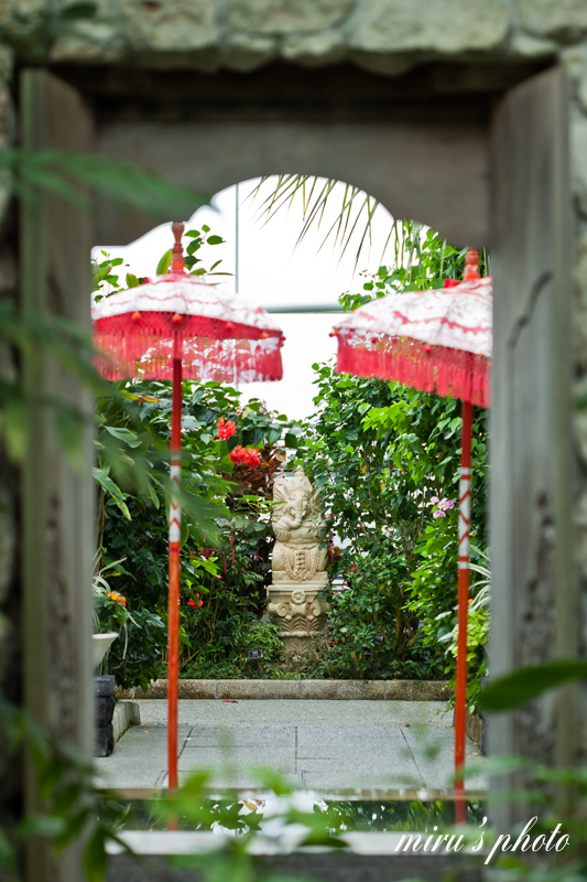c0037519_295449.jpg