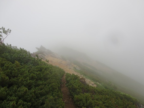 f0149422_12432246.jpg